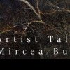 Artist Talk cu băimăreanul Mircea But