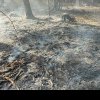 Incendiu de vegetație și litieră de pădure, la Lăzești. Intervin pompierii militari din Câmpeni, SVSU Scărișoară și membrii Ocolului Silvic Gârda