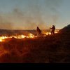 Intervenție a pompierilor militari și a SVSU Câmpeni la Certege, pentru stingerea unui incendiu de vegetație uscată