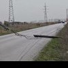 VIDEO Copaci și stâlpi doborâți de vânt, în Buzău. Solariile din Glodeanu Sărat, făcute franjuri