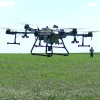VIDEO Echipamente high-tech, trimise pe câmp să salveze agricultura. Cât de eficiente sunt dronele