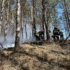 Bacău: Pompierii acţionează şi astăzi pentru stingerea incendiului din fondul forestier în zona Târgu Ocna