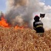 Suceava: Puternice incendii de vegetaţie pe raza a cinci localităţi