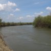 Vaslui: Doi cetăţeni moldoveni, prinşi după ce au traversat înot râul Prut cu intenţia de a merge în Italia