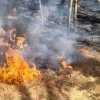 Argeș: Au ars vegetație uscată și mărăcinișul pe o suprafață de teren de peste 4000 mp