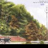 Istoricul Pădurii Trivale (5). În 1940, pădurea-parc Trivale nu întrunea condiţiile cerute de lege pentru a fi declarată monument al naturii (arie protejată)
