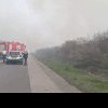 Incendiu de vegetație în apropierea Autostrăzii A3, zona km 37. Vizibilitate redusă în zona afectată!