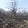 Garda de mediu Maramureș: acțiuni pentru prevenirea și combaterea arderilor de miriști și vegetație!