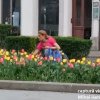 Hoață de flori prinsă în acțiune în Piața Mihai Viteazu: „Ia uite, domnul i-a zis şi nu îi e ruşine”