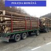 Mircea Fechet propune confiscarea autovehicului la 5 mc de lemn furat