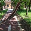 FII REPORTER – Îngrijorător: Biciclist, la un pas de accident, după ce un copac s-a prăbușit pe strada Victor Onișor din Bistrița