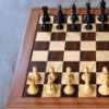 Aproape 150 de jucători sunt așteptați la Cupa Movileștilor la Șah, prima ediție, la ...