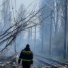 5 trenuri de călători au rămas blocate lângă Ploiești: un copac a căzut pe linie, în zonă este incendiu (foto)