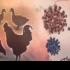 Alertă alimentară în SUA: Lapte pasteurizat infectat cu gripă aviară, vândut în magazine!