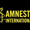 Amnesty International watches on domestic violence, Roma, LGBTI rights and healthy environment in Romania