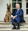 Biden a vrut să se sinucidă: și-a ales și locul în care să comită gestul