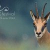 Cea de-a doua ediţie LYNX Festival, eveniment dedicat exclusiv fotografiei şi documentarului de natură, va avea loc între 4 şi 9 iunie la Braşov
