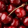 Cireșe românești de lux: Fructele se vând la bucată din cauza prețului mare