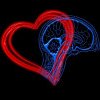 Coerența inimii, creierul şi respiraţia: un concept medical care atrage tot mai mult interesul specialiștilor / Ce beneficii extraordianre aduce