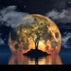 Eclipsă de Lună și Lună Nouă în Berbec pe 8 aprilie 2024. Ce e bine să faci și cum te influențează