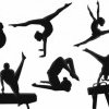 FR Gimnastică anunţă modificări în componenţa echipelor pentru Campionatele Europene de seniori şi juniori, ca urmare a retrageerii fraţilor Burtanete