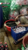 Imagini dezgustătoare: cum se produce Coca-Cola falsă, în condiții insalubre