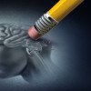 Lupta împotriva demenţei ar trebui să înceapă la 40 de ani, sugerează oamenii de ştiinţă / Ce se întâmplă cu creierul la mijlocul vieţii