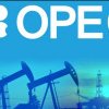O altă țară unde au fost descoperite zăcăminte de petrol ar putea adera la OPEC+