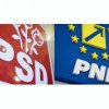 PSD-PNLcoalition picks separate candidates for Capital hall, Gabriela Firea and Sebastian Burduja