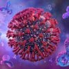 Un nou virus ciudat se răspândește cu viteza luminii: va provoca o nouă pandemie la nivel global