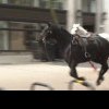 VIDEO Alarmă în centrul Londrei. Mai mulţi cai din cavaleria regală au scăpat liberi pe stradă: o persoană a fost rănită