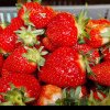 Căpșuni din Grecia periculoși pentru sănătate din cauza unui pesticid neautorizat în UE. Fructele, retrase de ANSVSA de pe piață