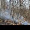 Incendiu de pădure la Gârbova de Jos. Este afectată o suprafață de 2 hectare. Acționează pompierii din Aiud