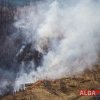 Incendiu în Apuseni: A luat foc vegetația uscată din marginea unei păduri de la Vadul Moților