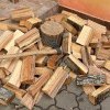 ”Lovitură” pentru mafia lemnului: Pensionar din Alba, condamnat la închisoare după ce a tăiat cinci copaci