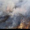 Pompierii din Alba atenționează privind pericolul incendiilor de vegetație. Apel către locuitori, pentru respectarea regulilor