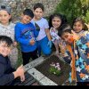 „Săptămâna Verde” la Liceul cu Program Sportiv „Florin Fleșeriu” Sebeș: Activități de grădinărit și învățare practică