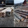 Scutul pădurii: polițiștii din Alba au confiscat 566 mc de material lemnos și au aplicat amenzi de peste 50.000 de lei