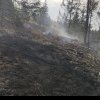VIDEO: Incendiu de vegetație uscată într-un sat din Scărișoara. Pompierii intervin pentru stingerea focului