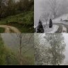 VIDEO: Ninsori în Apuseni. De la peisaj de primăvară la vreme de iarnă, cu zăpadă, în doar câteva zeci de minute