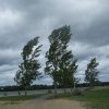 Revin vijeliile în România. Vântul va sufla cu 120 km/oră
