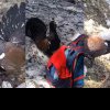 VIDEO. Bărbat, atacat de un cocoș de munte care s-a năpustit la gâtul lui