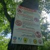 Administrația Parcului Natural Lunca Mureșului face apel la cei care-și vor petrece minivacanța de 1 Mai în pădure să se comporte civilizat