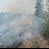 Incendiu la vegetație uscată, pe 4 hectare, între Dulcele și Zimbru