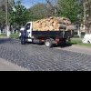 Transporturile de material lemnos, verificate la Sântana