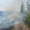 Incendiu de vegetație uscată: pompierii au împiedicat focul să se extindă la pădurea din apropiere