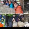 FOTO! La Dalboșeț, s-au măsurat oile
