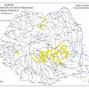 Atenționare hidrologică! Cod galben de inundații și viituri în județul Dâmbovița