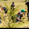 Banca Transilvania dă startul acțiunilor de împădurire și voluntariat din acest an