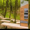 Pădurea-parc Făget - Plămânul verde al Clujului, premiul I la New European Bauhaus 2024